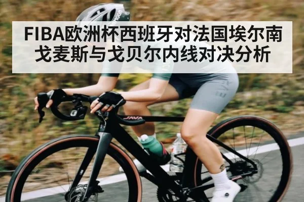 FIBA欧洲杯西班牙对法国埃尔南戈麦斯与戈贝尔内线对决分析